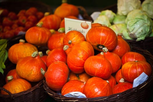 Orange pumpkins in a market. Horizontal shot with selective focus