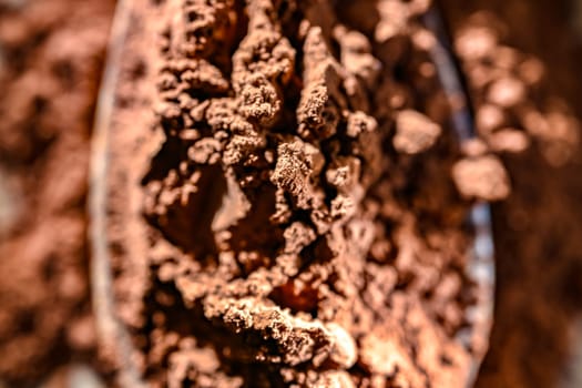 Wooden spoon of cocoa powder.