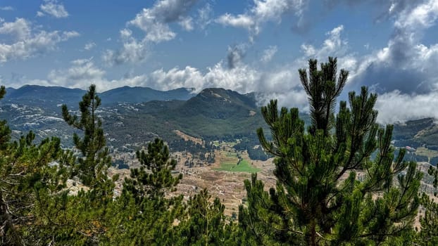 A lush green foreground of pine trees overlooking a broad mountainous terrain under a sky filled with scattered clouds and bright sunlight.