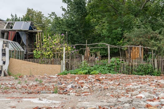 Natural garden with wooden fence, greenhouse and tree house in the big city