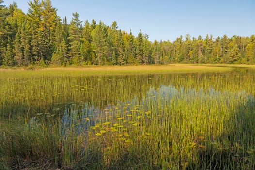 Quiet Pond in the Early Morning Light on the Gunflint Trail in Minnesota