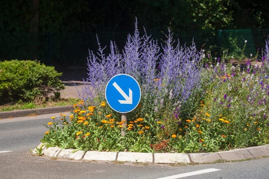 Traffic island on road with arrow signpost and flower bed, Germany