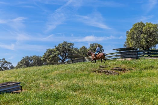 Granada, Spain: April 15, 2024: Farmer with his horse in a field at a farm outside Granada, Andalucia, Spain