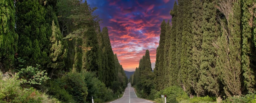 Tuscany, Italy. Asphalt line in nature, panoramic road to travel destination Bolgheri