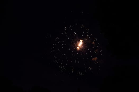 A colorful fireworks in the black night sky