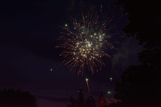 A colorful fireworks in the black night sky with the silhouette of a tree and a casle in the foreground