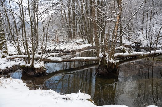 Winter landscape on a small river with snow