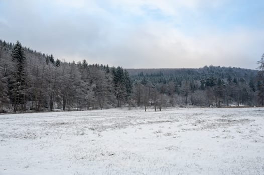 Winter landscape with snow, field and forest