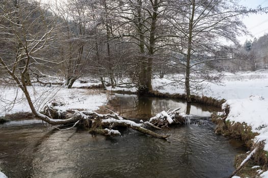 Little Dam built by beavers, damming a small body of water with wood and  snow