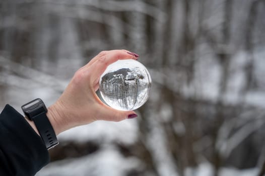 Human hand holding a glass ball, trees reflected in it on a cold winter day with lots of snow
