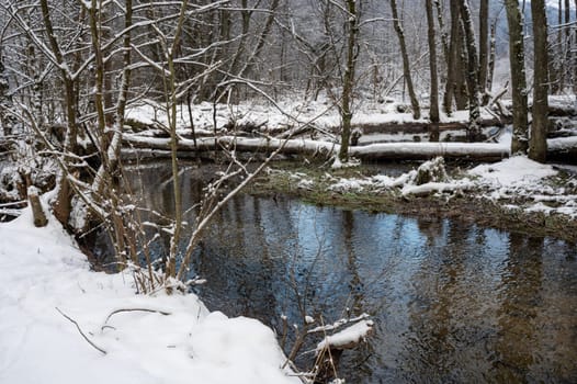 Winter landscape on a small river with snow