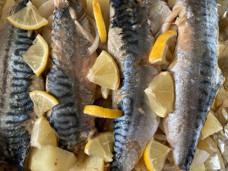 Baked mackerel sea a the fish