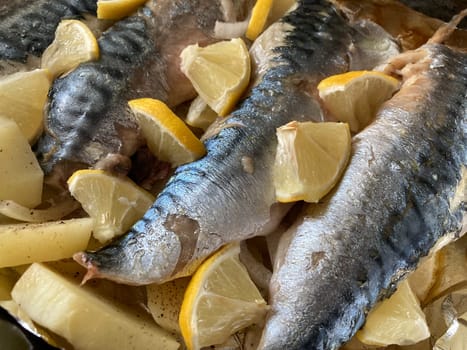 Baked mackerel sea a the fish