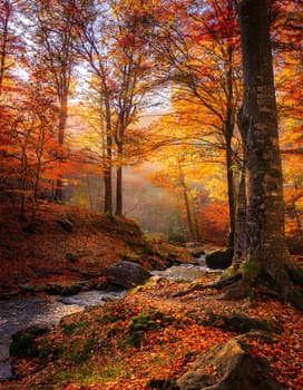 Forest with a Stream, Beautiful Landscape, Autumn Season, AI generated image