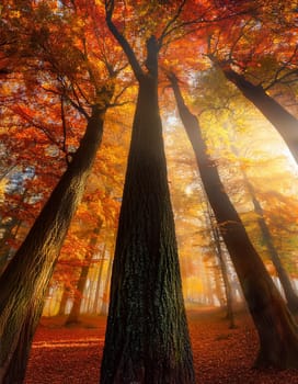 Forest, Beautiful Landscape, Autumn Season, Bottom Up, AI generated image