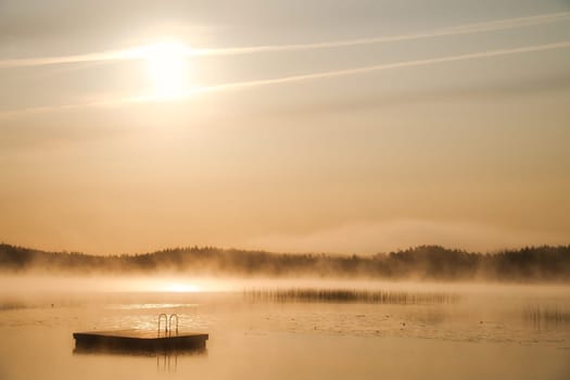 Floating island in the morning in the fog on a Swedish lake. Forest in the background. Scandinavian nature