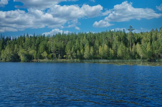 Lake in sweden with blue sky and white clouds in front of blue water. Trees on the shore. Nature from Scandinavia