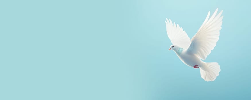 Dove flying in blue sky, international peace day, faith, freedom, charity and help concept, humanitarian aid