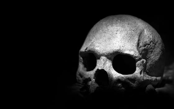 Scary skeleton. Real skull on dark background. Copy space.