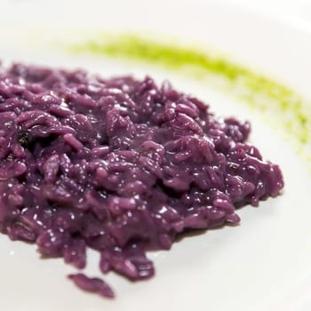 Italian risotto with red cabbage. Closeup. Italian chef decoration.