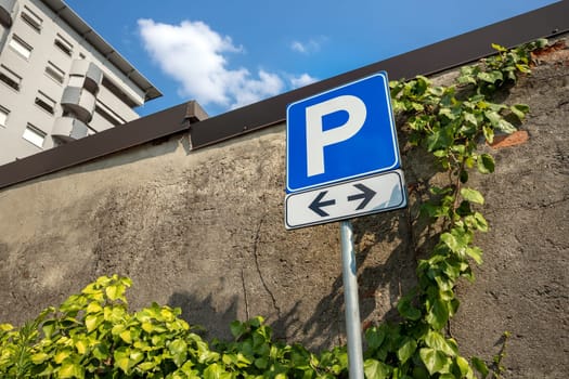 Free parking signal. Next to it, tree and hedge. Bottom view.