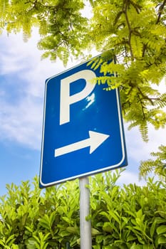 Free parking signal. Next to it, tree and hedge. Bottom view.