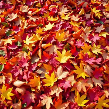 A thick layer of fallen autumn leaves covers the ground, showcasing a mix of red, orange, and yellow hues. The rich colors highlight the beauty of the fall season in nature.