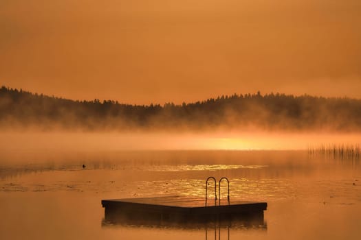 Floating island in the morning in the fog on a Swedish lake. Forest in the background. Scandinavian nature