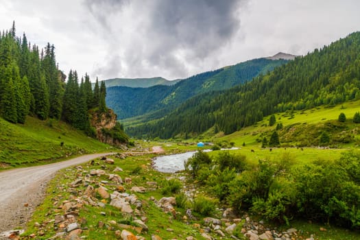 green grass and forest covered mountain slopes at rainy summer day in Grigor'yevskoye Ushchel'ye in Kyrgyzstan
