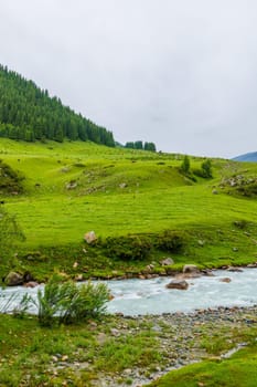 rainy day at green mountain slope pasture with river and cows grazing at the distance