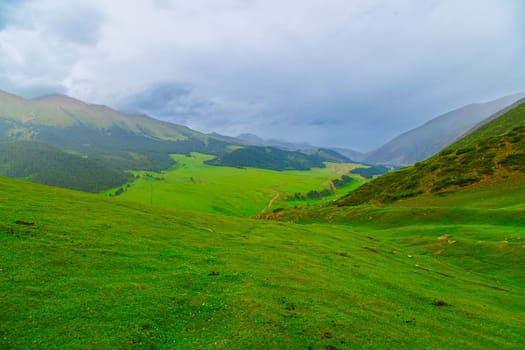 green grass covered mountains at overcast rainy summer day