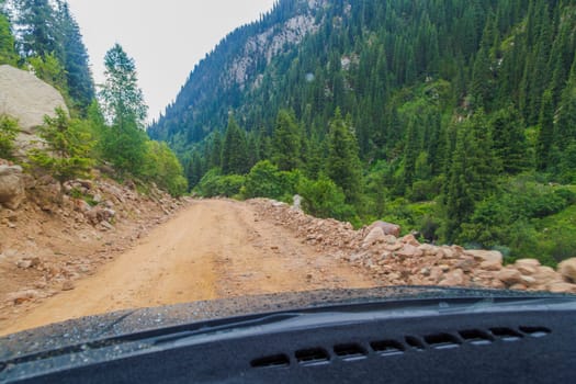 driving along the dirt road at rainy summer day in mountains with spruce forest on mountain slope, view from driver perspective