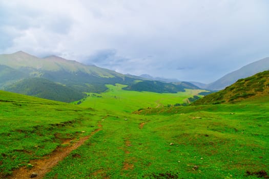 green grass covered mountains at overcast rainy summer day