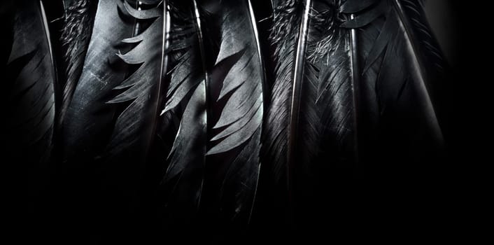 Halloween background with black raven feathers on dark grunge backdrop. Horror gothic abstract design with copyspace. Closeup of bird wing texture.