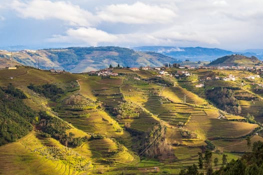View of the Douro valley with the vineyards of the terraced fields.  Photographed in spring, Portugal