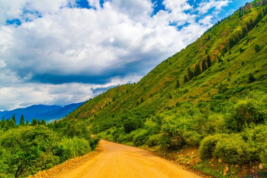 dirt road at cloudy summer day in mountains with spruce trees on slope.