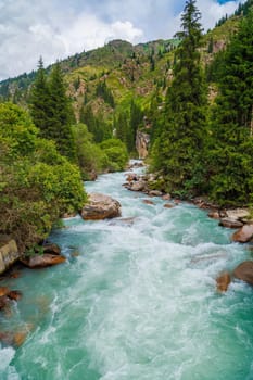 rainy weather summer mountain river landscape with spruce forest on sides