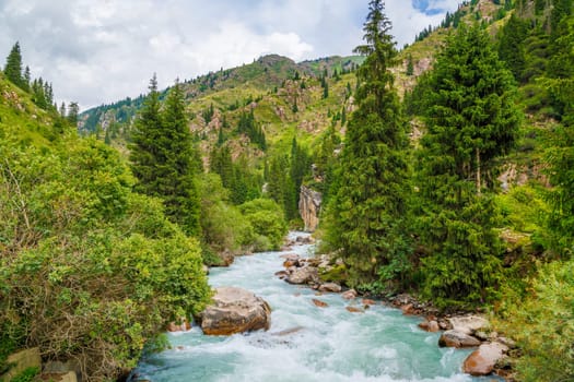 rainy weather summer mountain river landscape with spruce forest on sides