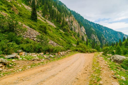 dirt road at cloudy summer day in mountains with spruce forest on slopes.
