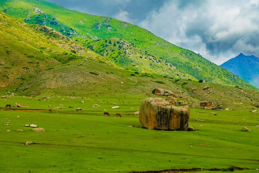 Kyrgyz Jayloo highland pasture with large rock cracked in half and few horses grazing under green hill slope at summer day.