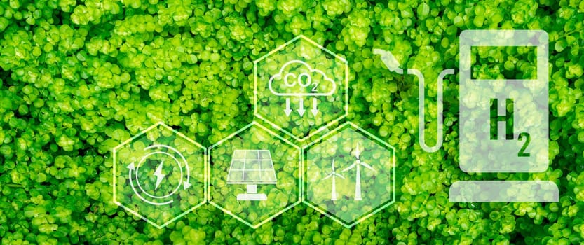 Green hydrogen energy generation using sustainable renewable resources like sun and wind. Hydrogen fuel cell vehicle with zero emissions. Green technology for future. Advancing the hydrogen economy.
