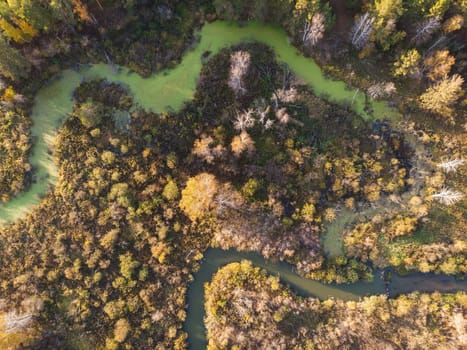 Aerial drone view of autumn landscape with river.