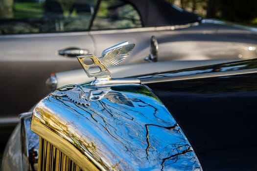 Lisbon, Portugal - Jan 20, 2024: Close-up and selective focus on the Bentley Wings Flying B mascot hood ornament or bonnet badge from 1950s and 1960s against other car background.