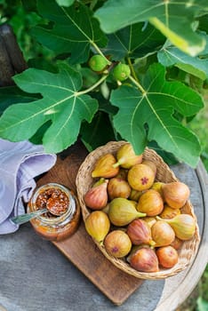 Glass jar with tasty sweet jam with fresh figs growing on the branch fig tree in organic home orchard.