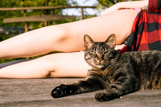 Tabby cat with green eyes lounges on a wooden deck in the sun, while a woman in a red plaid shirt enjoys the peaceful moment