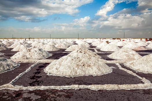Salt mine at Sambhar Lake in daytime. Sambhar, Rajasthan, India