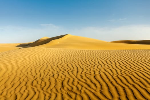 Dunes of Thar Desert. Sam Sand dunes, Rajasthan, India