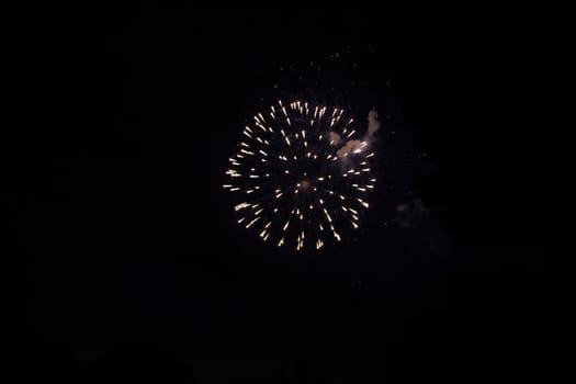 A colorful fireworks in the black night sky