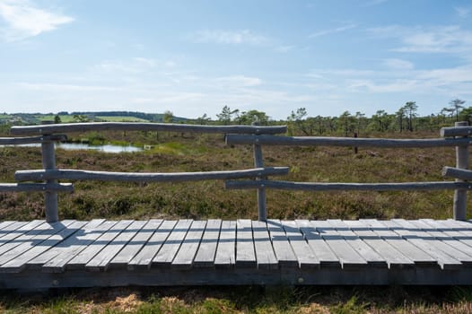 Black moor in the Rhoen, Bavaria, Germany, in summer  with Heather and  a new moor path
