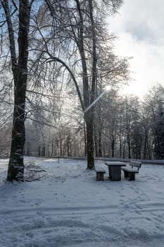 Picnic bench and table in a parking lot in the snow with sun and forest